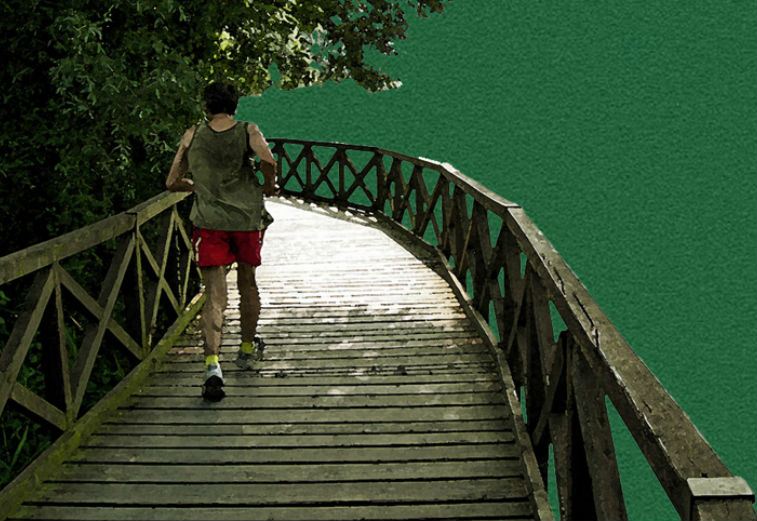 site-caminho1