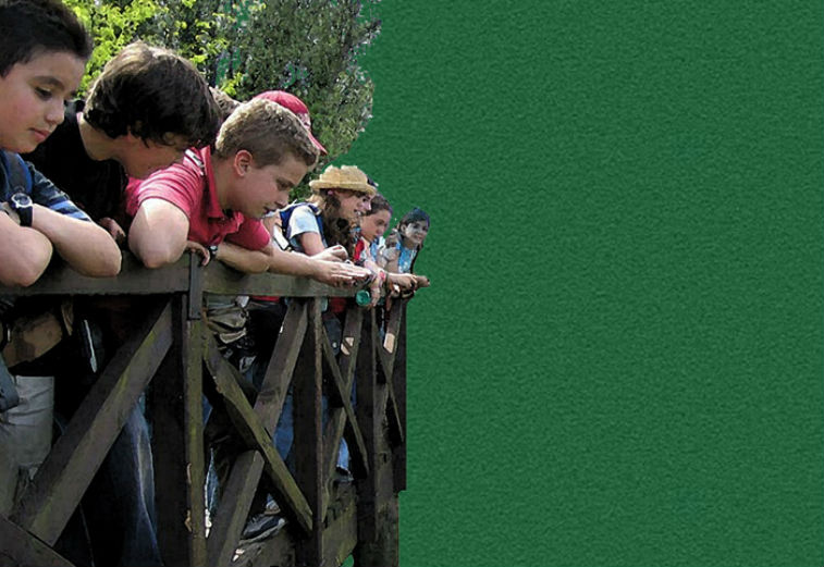 site-caminho2