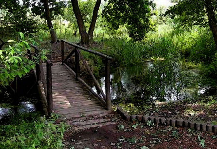 site-caminho3